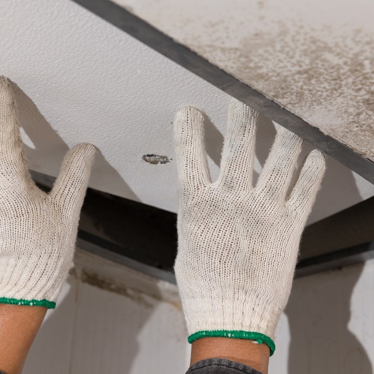 Restoration and remodeling in South Jordan, UT